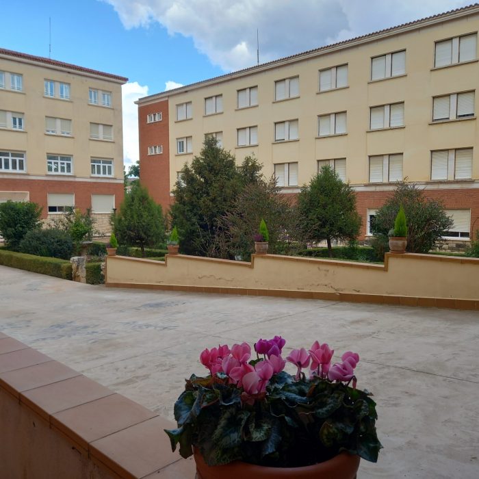 Patio interior